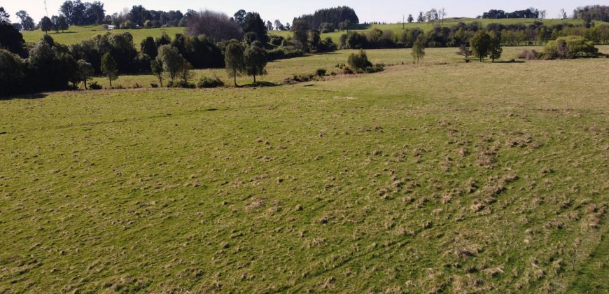 Parcelas Agrícolas desde los 5.000mts2 en Refugio Rupanco