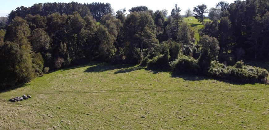 Parcelas Agrícolas desde los 5.000mts2 en Refugio Rupanco