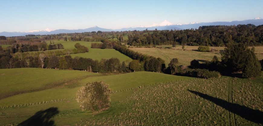 Parcelas Agrícolas desde los 5.000mts2 en Refugio Rupanco