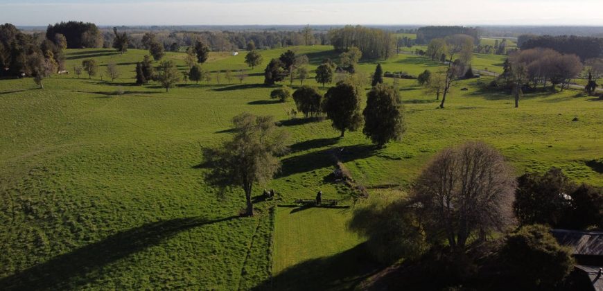 Parcelas Agrícolas desde los 5.000mts2 en Refugio Rupanco