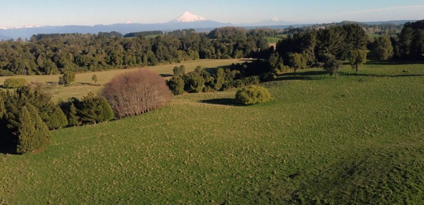 Parcelas Agrícolas desde los 5.000mts2 en Refugio Rupanco