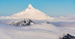 Parcelas Agrícolas desde los 5.000mts2 en Refugio Rupanco