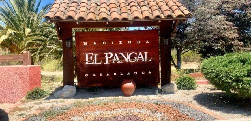 Se Vende Parcela en Casablanca Condominio El Pangal