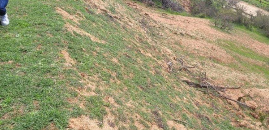 PARCELA EN CONDOMINIO HACIENDA EL PANGAL