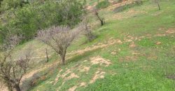 PARCELA EN CONDOMINIO HACIENDA EL PANGAL