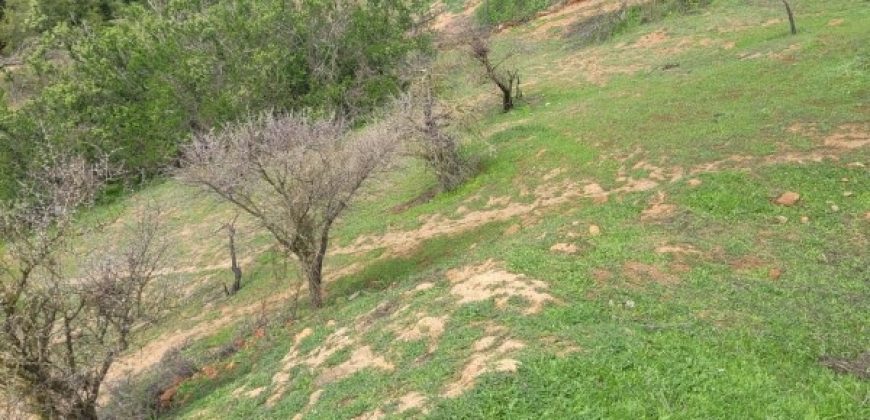 PARCELA EN CONDOMINIO HACIENDA EL PANGAL