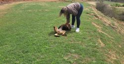 PARCELA EN CONDOMINIO HACIENDA EL PANGAL