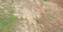 PARCELA EN CONDOMINIO HACIENDA EL PANGAL