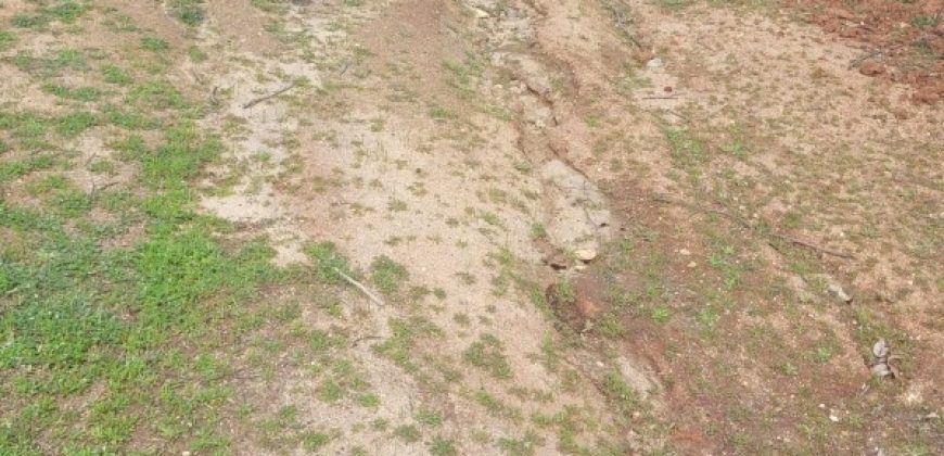 PARCELA EN CONDOMINIO HACIENDA EL PANGAL