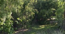 PARCELA HERMOSA EN LIMACHE LOS LAURELES