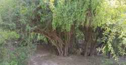 PARCELA HERMOSA EN LIMACHE LOS LAURELES