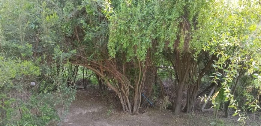 PARCELA HERMOSA EN LIMACHE LOS LAURELES