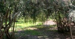 PARCELA HERMOSA EN LIMACHE LOS LAURELES