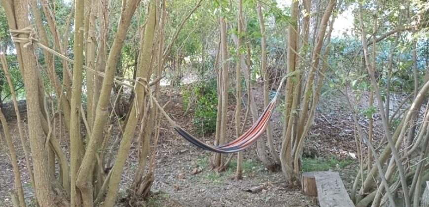 PARCELA HERMOSA EN LIMACHE LOS LAURELES