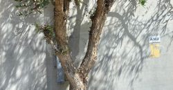 DEPARTAMENTO CERCA ESCUELA DE CARABINEROS