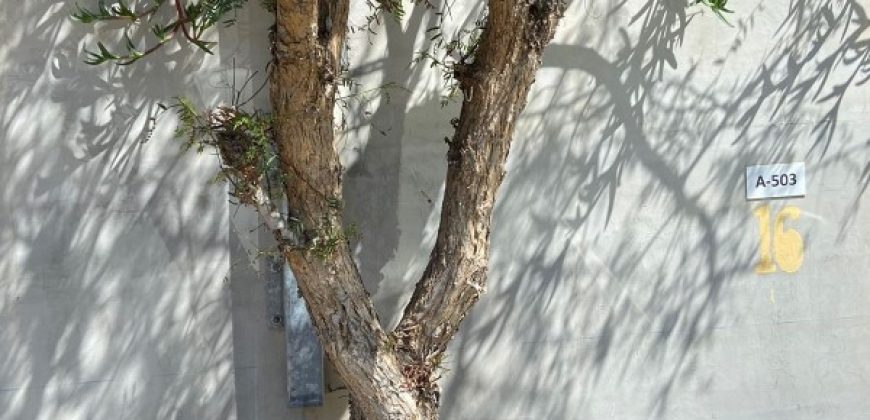 DEPARTAMENTO CERCA ESCUELA DE CARABINEROS