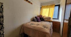 Santiago, Zenteno 390