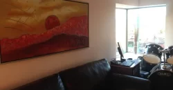 Moderna Casa Para Familia Grande En Jardin Del Lago