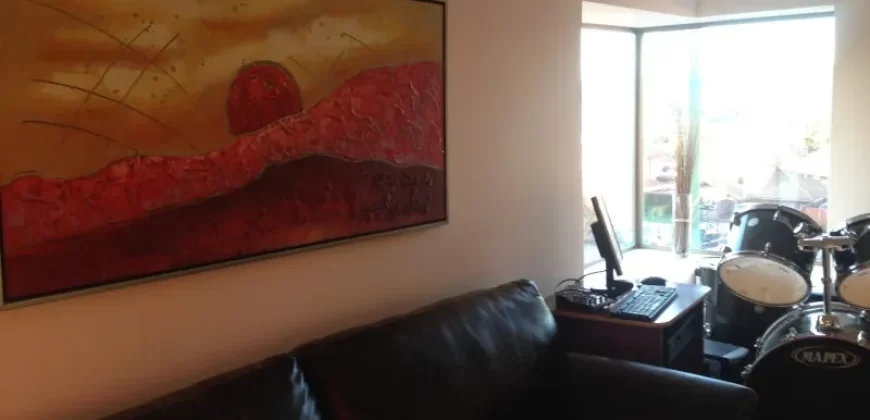 Moderna Casa Para Familia Grande En Jardin Del Lago