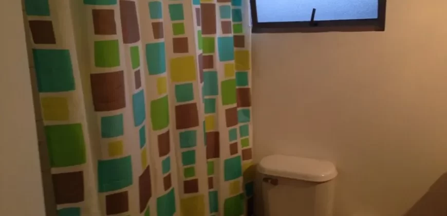 Moderna Casa Para Familia Grande En Jardin Del Lago