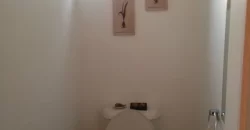 Moderna Casa Para Familia Grande En Jardin Del Lago