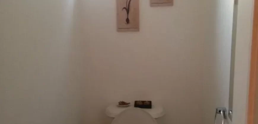 Moderna Casa Para Familia Grande En Jardin Del Lago