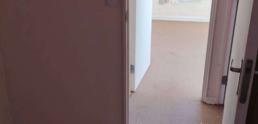 EL ARREO PEÑABLANCA LAS ACACIAS